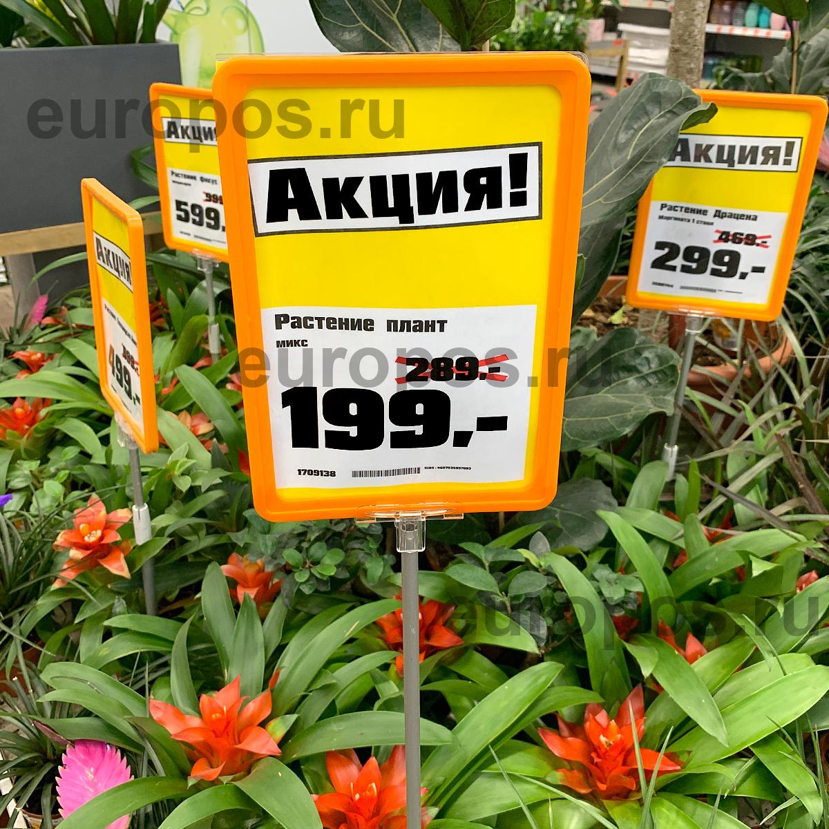 Рамка PF-A5, цвет оранжевый