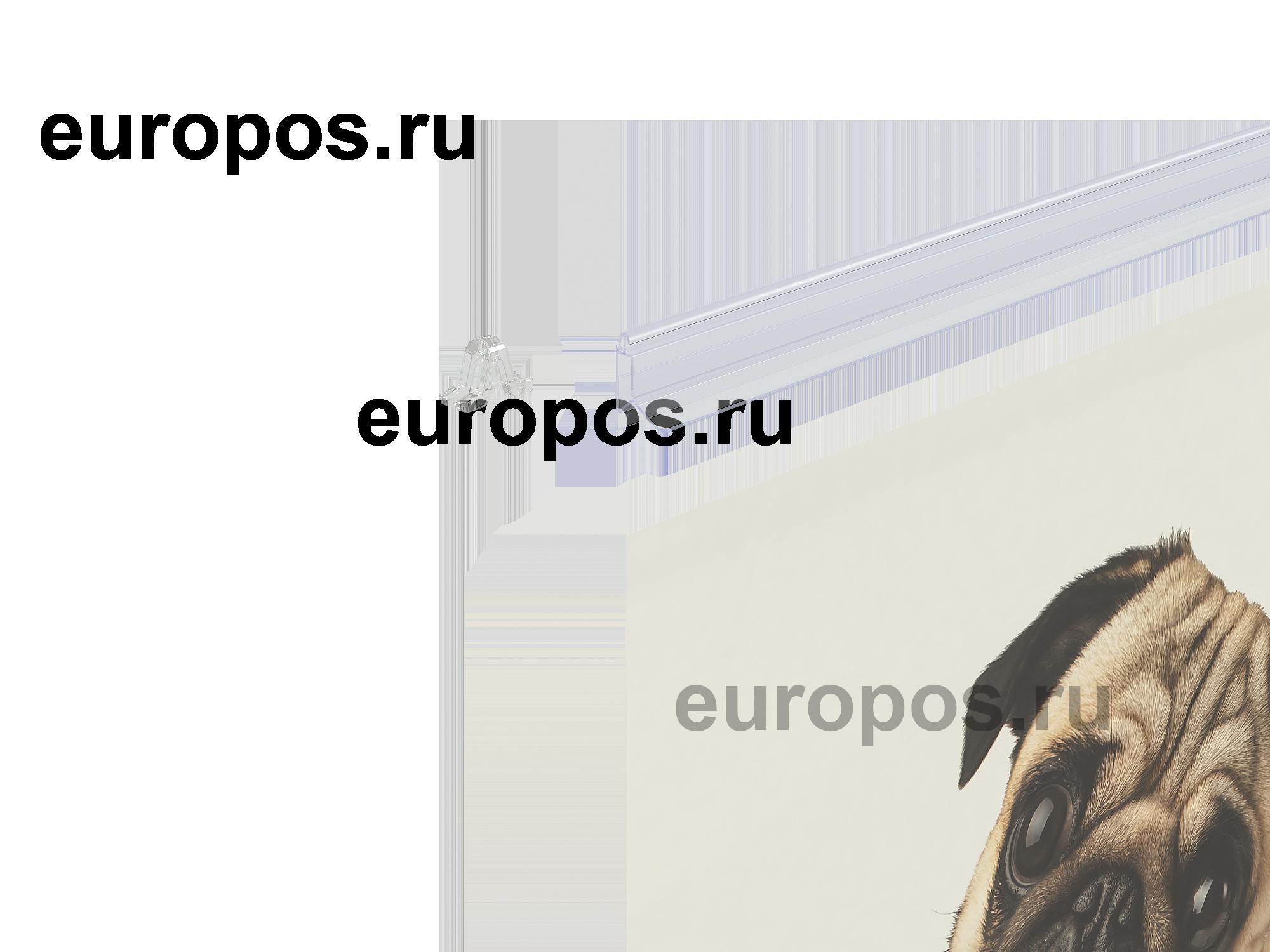 Комплект профилей для плакатов GRIPPER-SET, длина 600мм, прозрачный