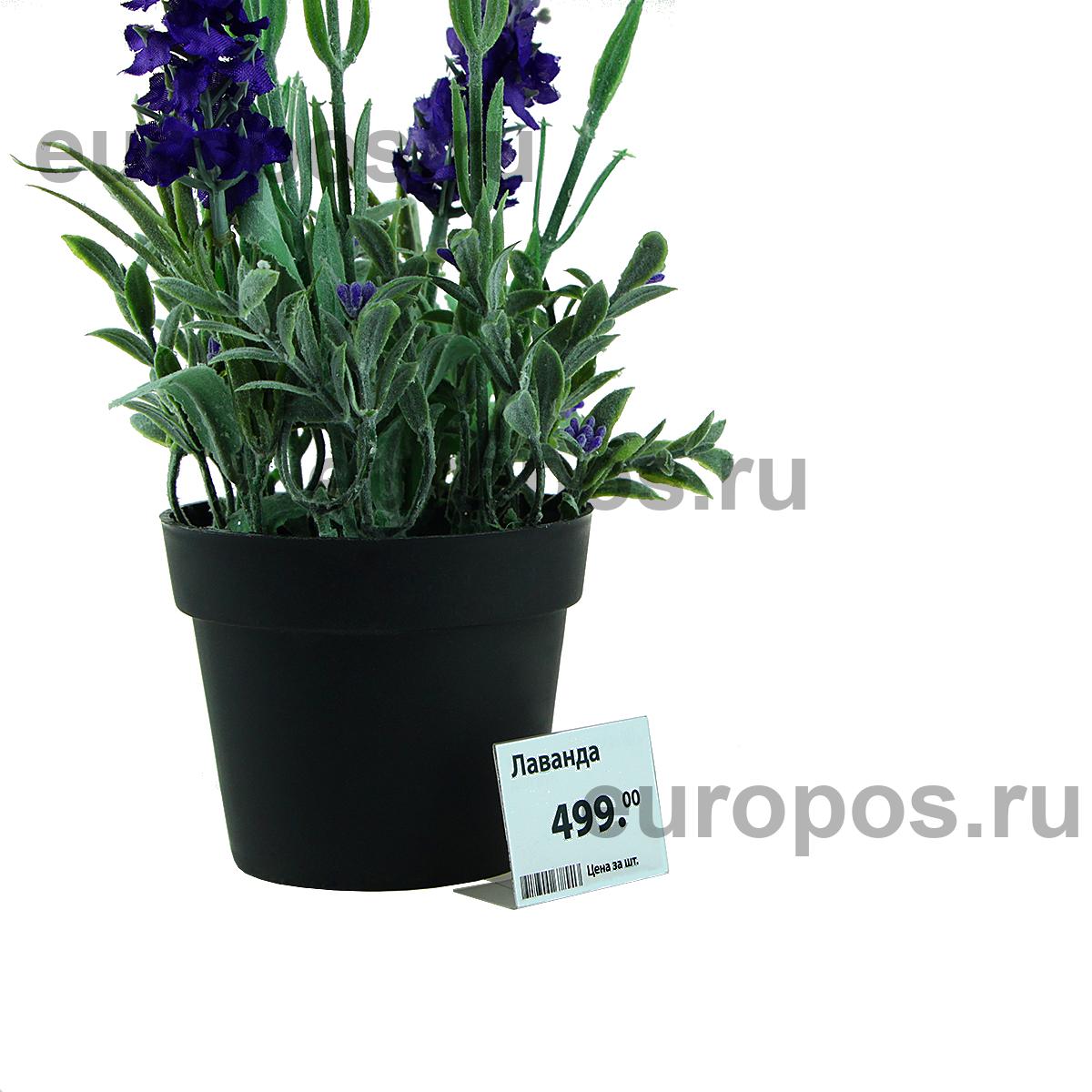 Ценникодержатель P-PRICER 40х30 мм, горизонтальный (100 шт. в упаковке)