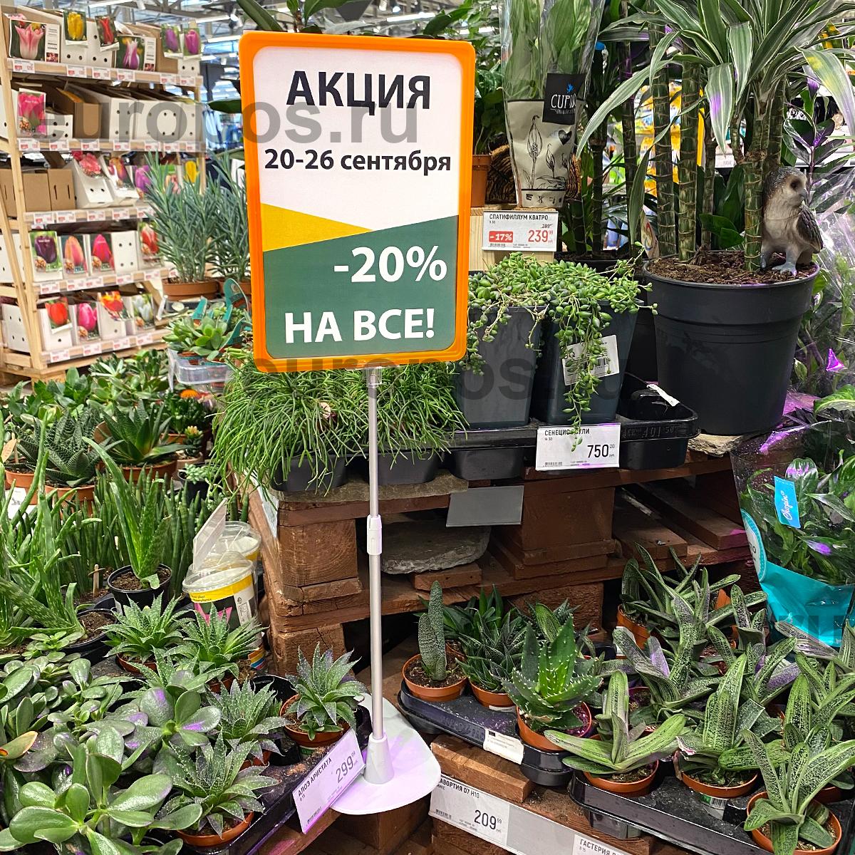 Рамка PF-A4, цвет оранжевый