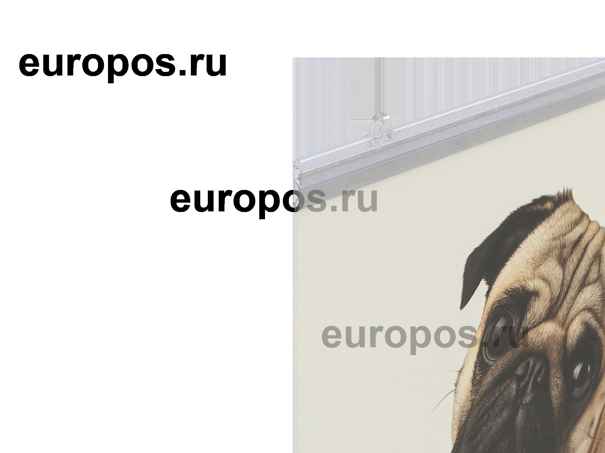 Комплект профилей для плакатов GRIPPER-SET, длина 600мм, прозрачный