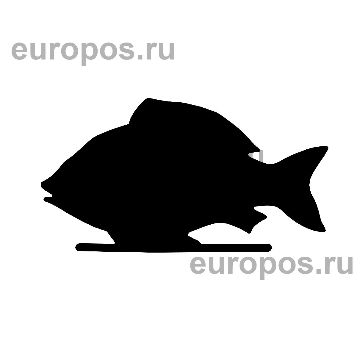 Меловая табличка «Рыба» BB FISH